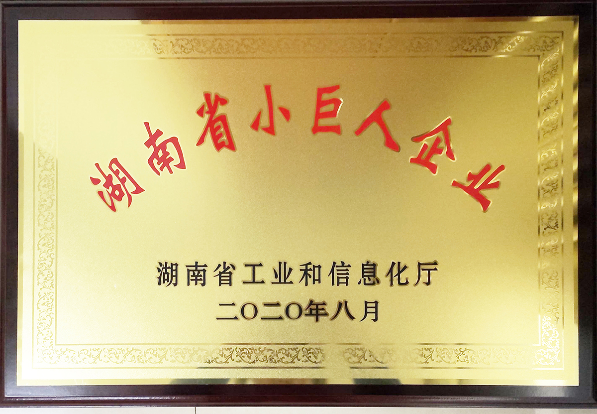 2020年湖南省小巨人企業獎牌.jpg